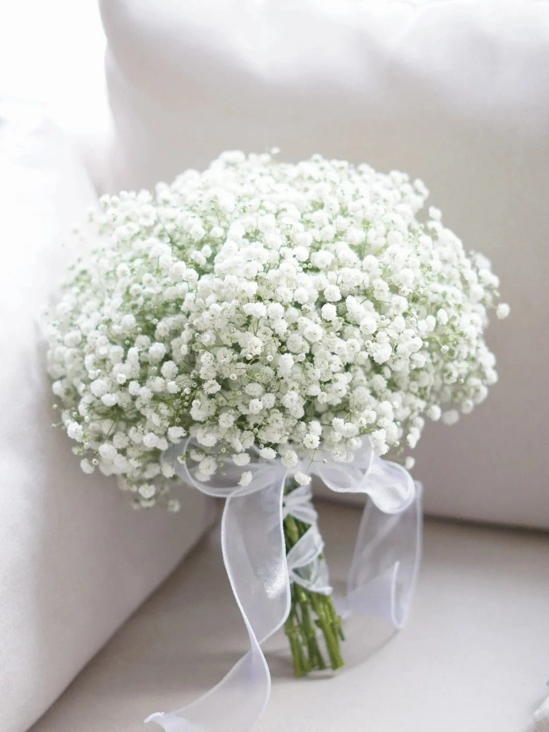 Baby's Breath 满天星