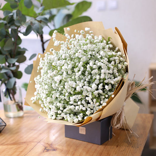 Baby's Breath Bouquet