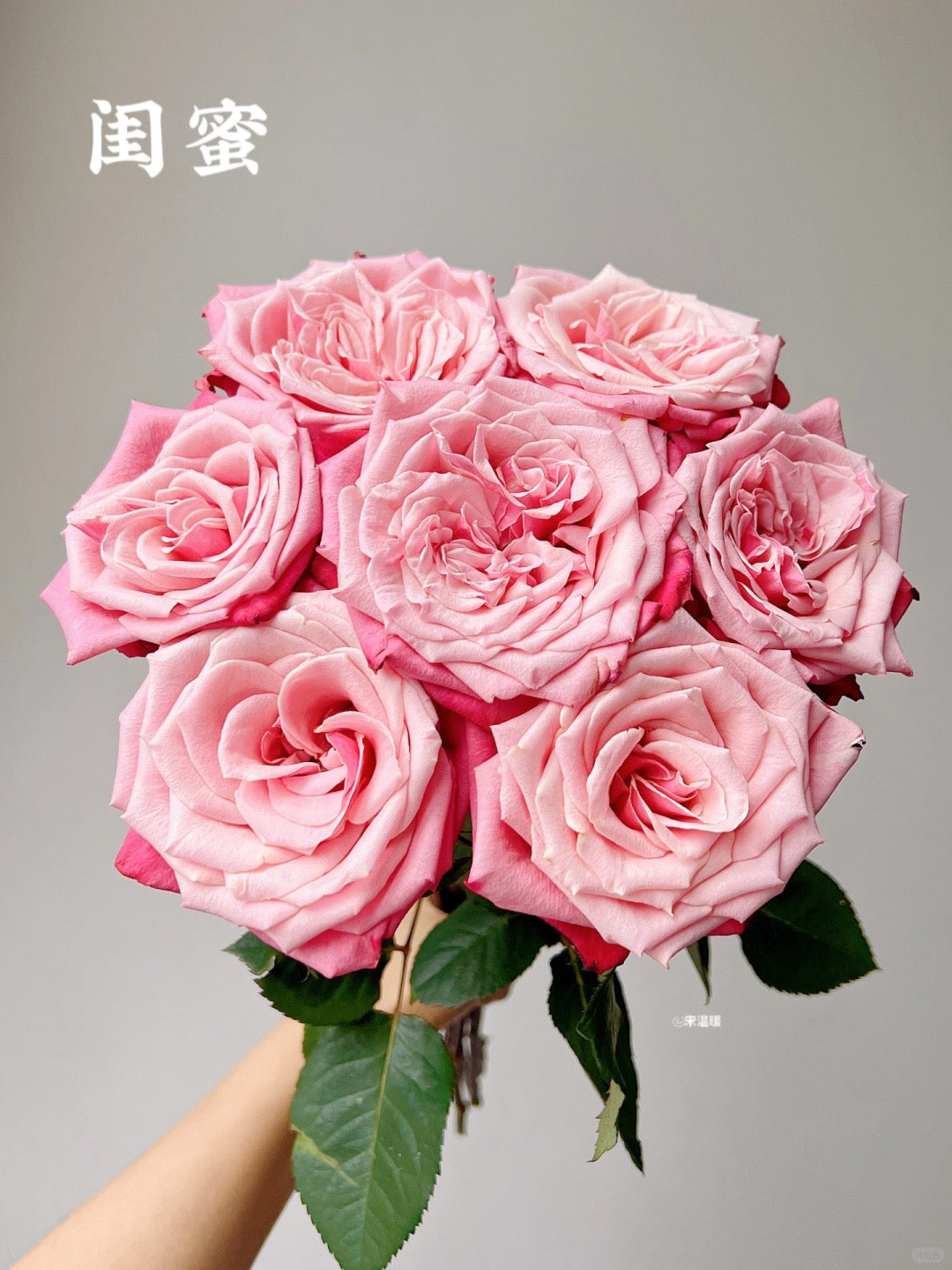 Alter Ego 闺蜜｜Rose｜20 STALKS [CN]