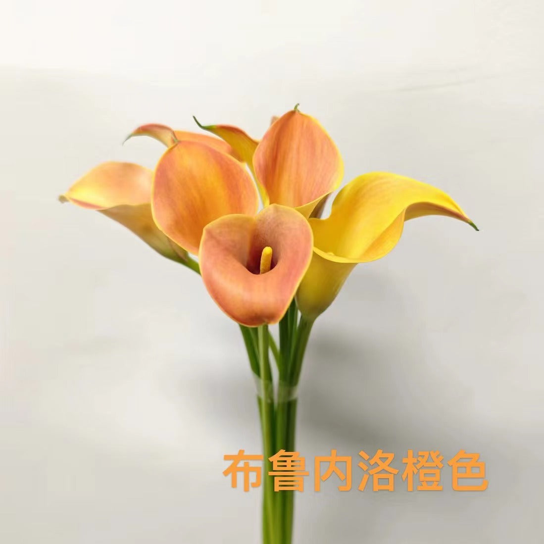 Calla Lily | 10 Stalks [CN]