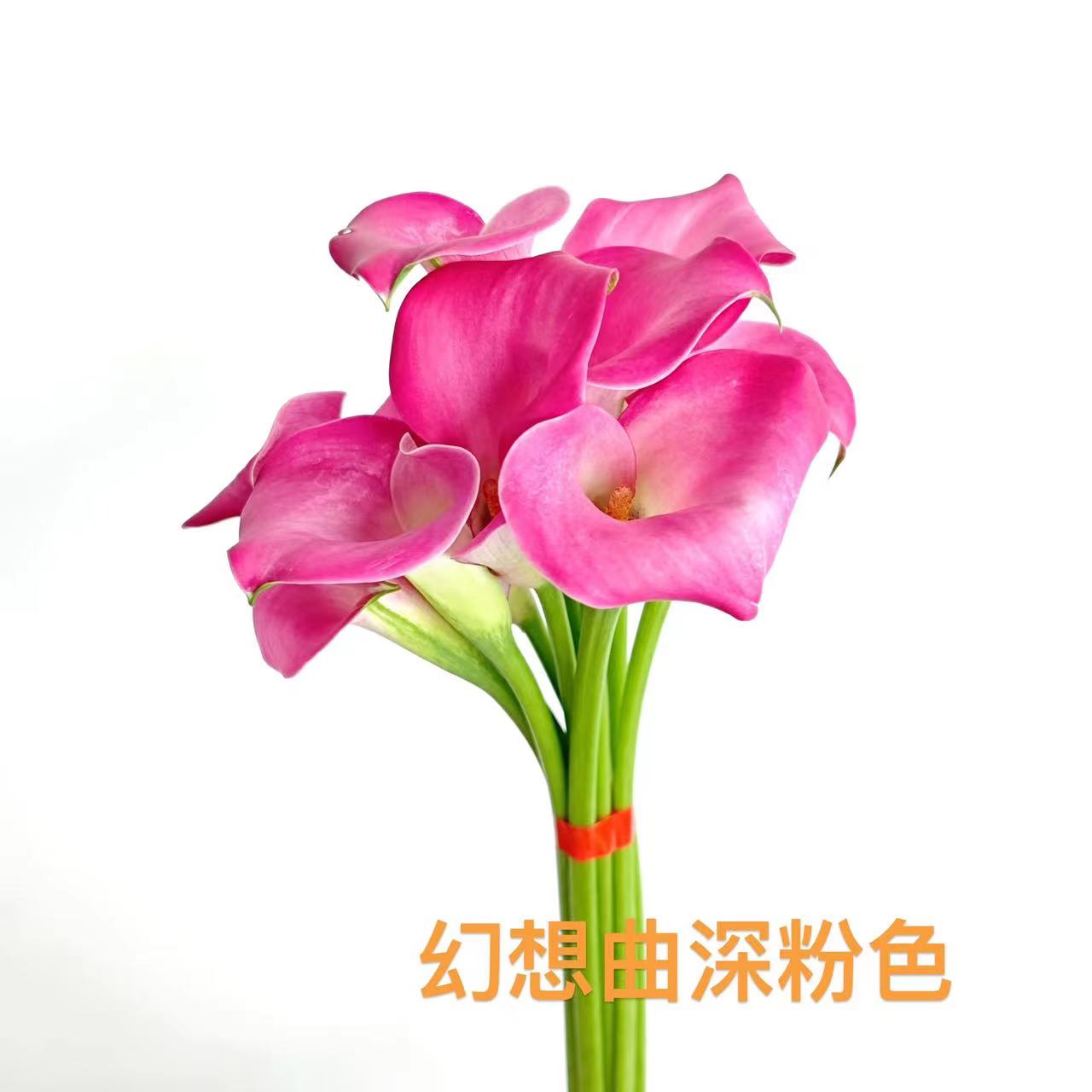 Calla Lily | 10 Stalks [CN]