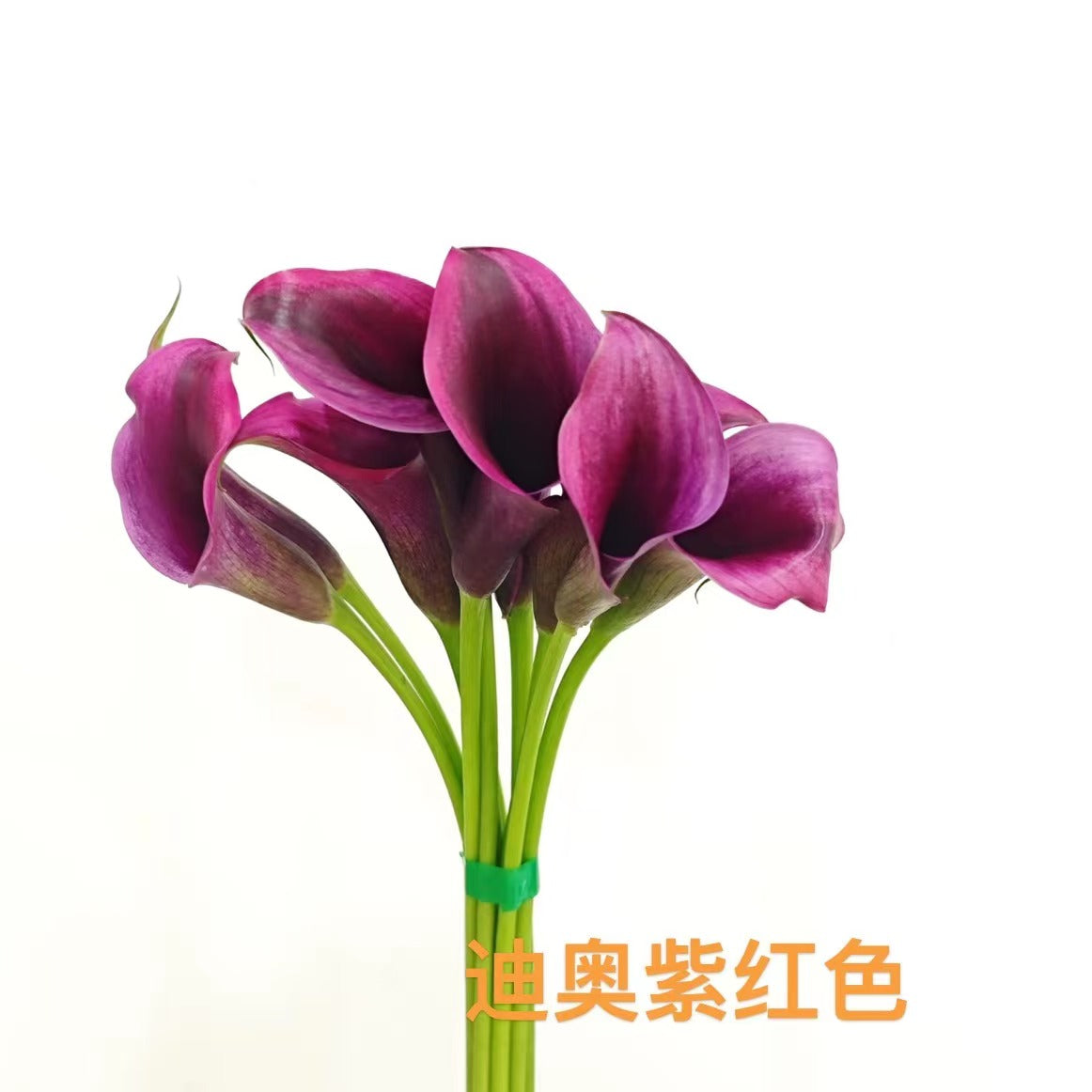 Calla Lily | 10 Stalks [CN]