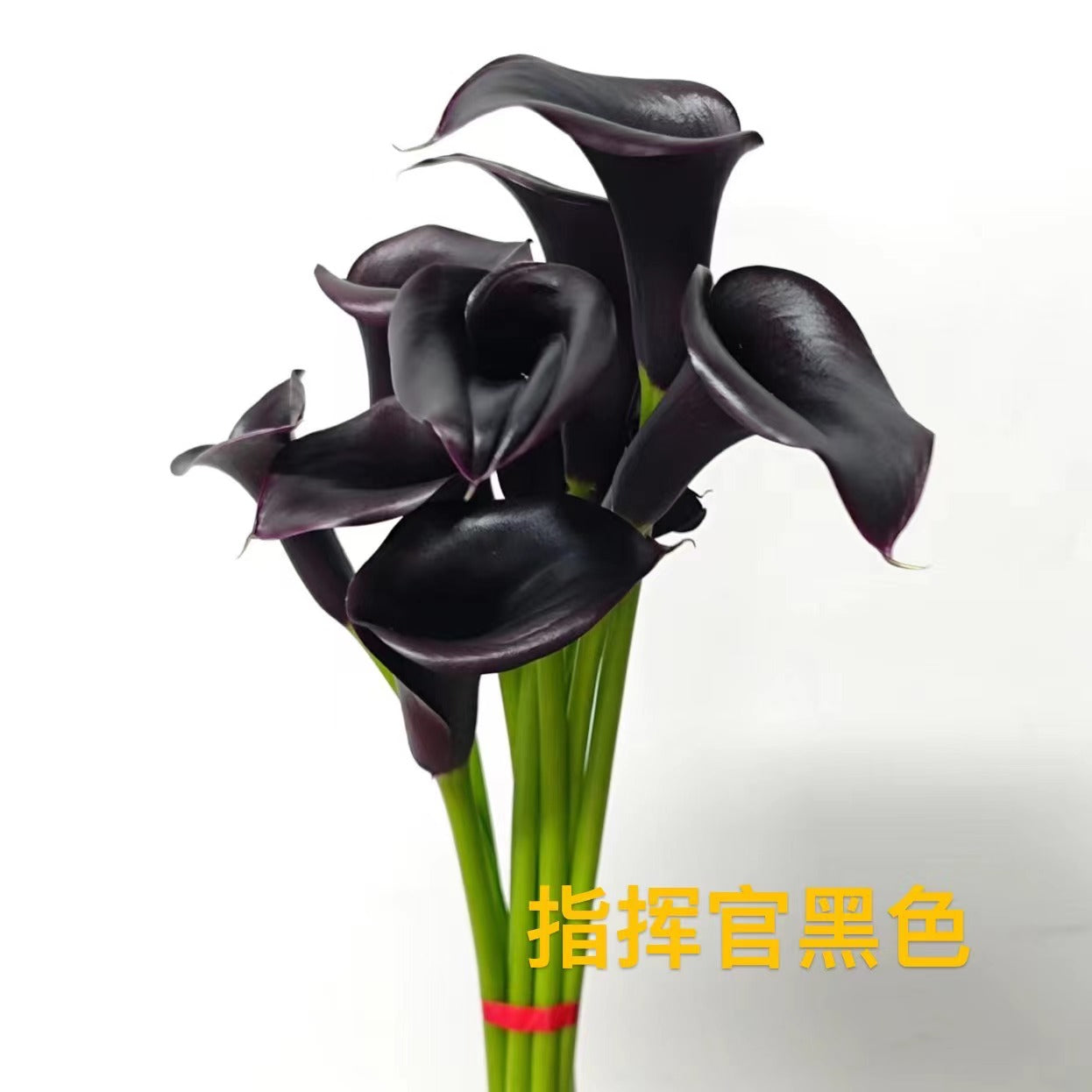 Calla Lily | 10 Stalks [CN]